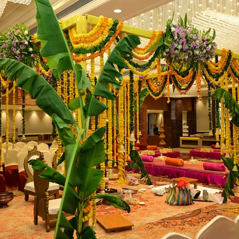 DSC_4466-1-scaled-r7jdg04f6a36iliice9nkr2m1fj3hmn4hj9z729hxs